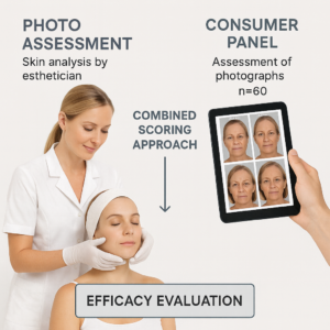 ÉVALUATION DE L’EFFICACITE PAR SCORAGES PHOTOGRAPHIQUES